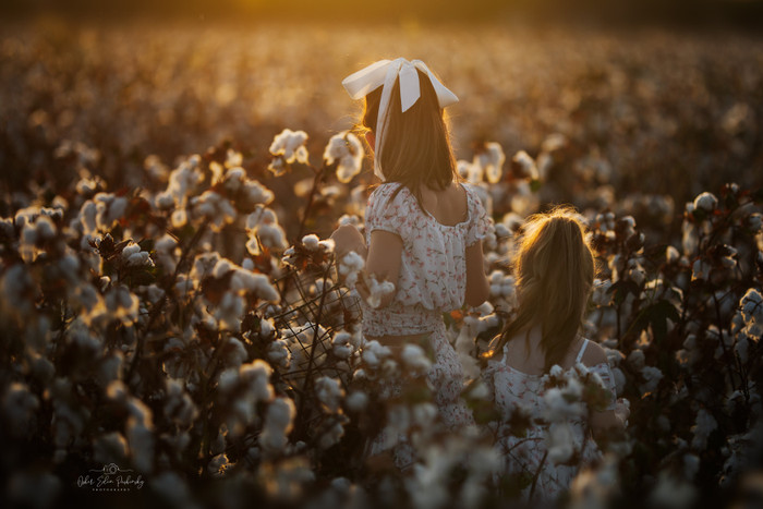 Collection 42 photo by Osher Eden Pashinsky