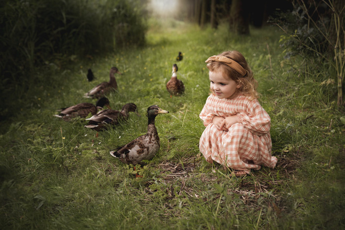 Collection 63 photo by Amanda Koert