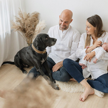 Foto de galería 1