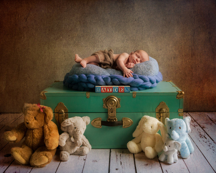 Collection 16 photo by Julie Mark
