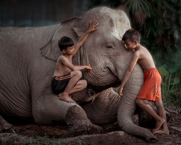 Collection 61 photo by Fira Mikael