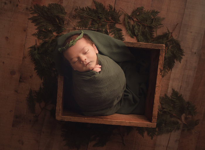 Collection 34 photo by Melissa Prout