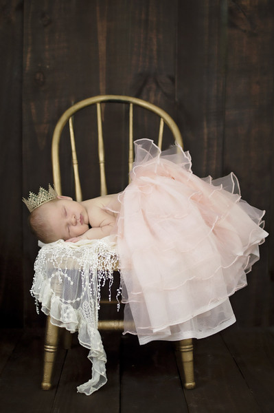 Collection 5 photo by Emily Wyrick