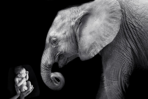 Collection 9 photo by Lisa Cheney