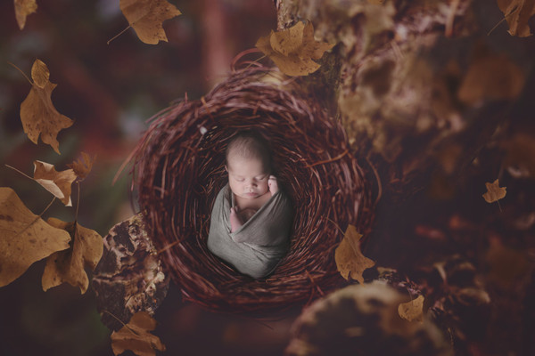 Collection 20 photo by Hali Newberry