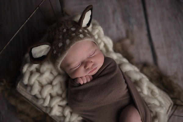 Collection 22 photo by Amy Mulford