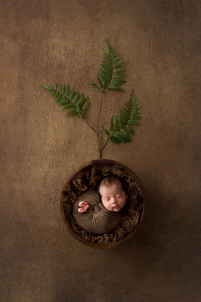 Collection 28 photo by Judith Gamliel