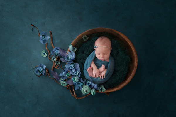 Collection 32 photo by Elana Bebjak