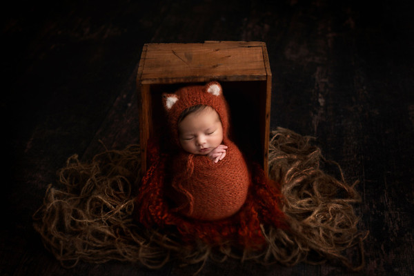 Collection 47 photo by Courtney Morgan