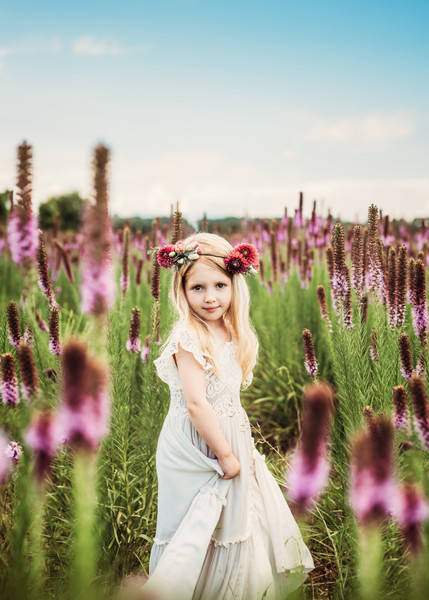 Collection 52 photo by Jenny Robertson