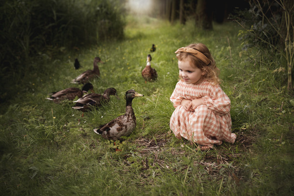 Collection 63 photo by Amanda Koert