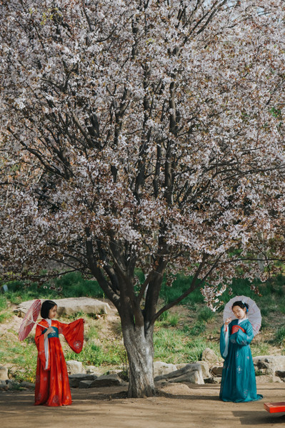 Collection 75 photo by Xuewen Duan