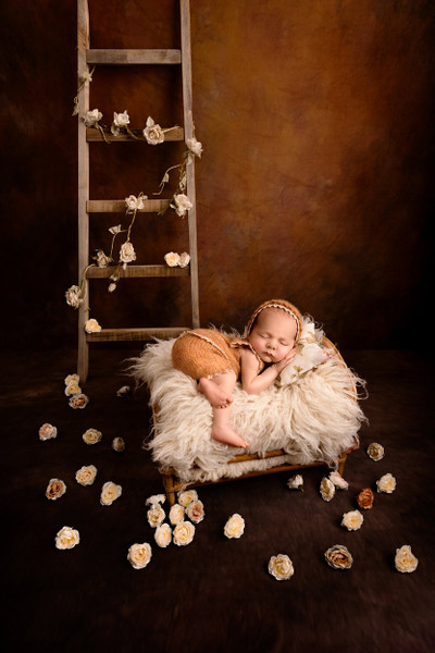 Collection 79 photo by Anja Maesen