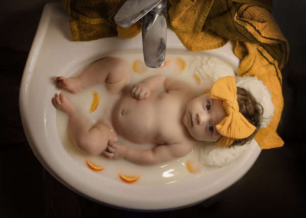 Collection 97 photo by Ginny Marmer