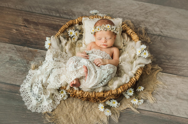 Collection 111 photo by Katrin Biendl
