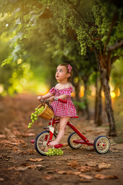Collection 125 photo by Lital Tzach Yona