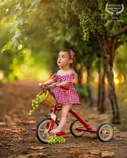 Collection 125 photo by Lital Tzach Yona