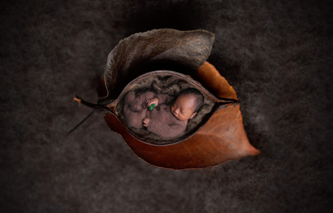 Collection 48 photo by Natalia Brembor