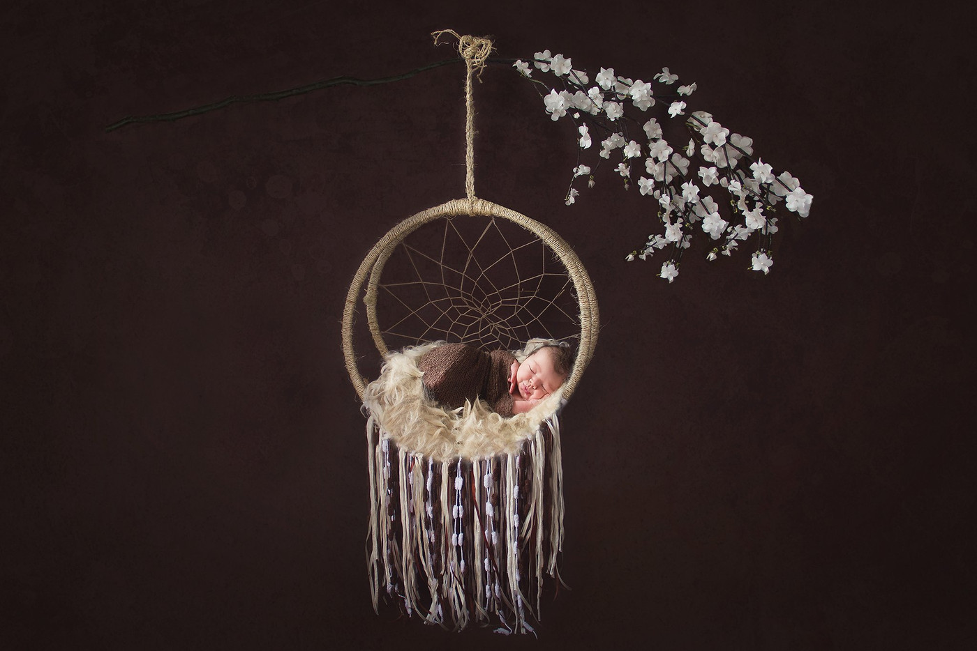 Collection 3 photo by Wendelien Bralts