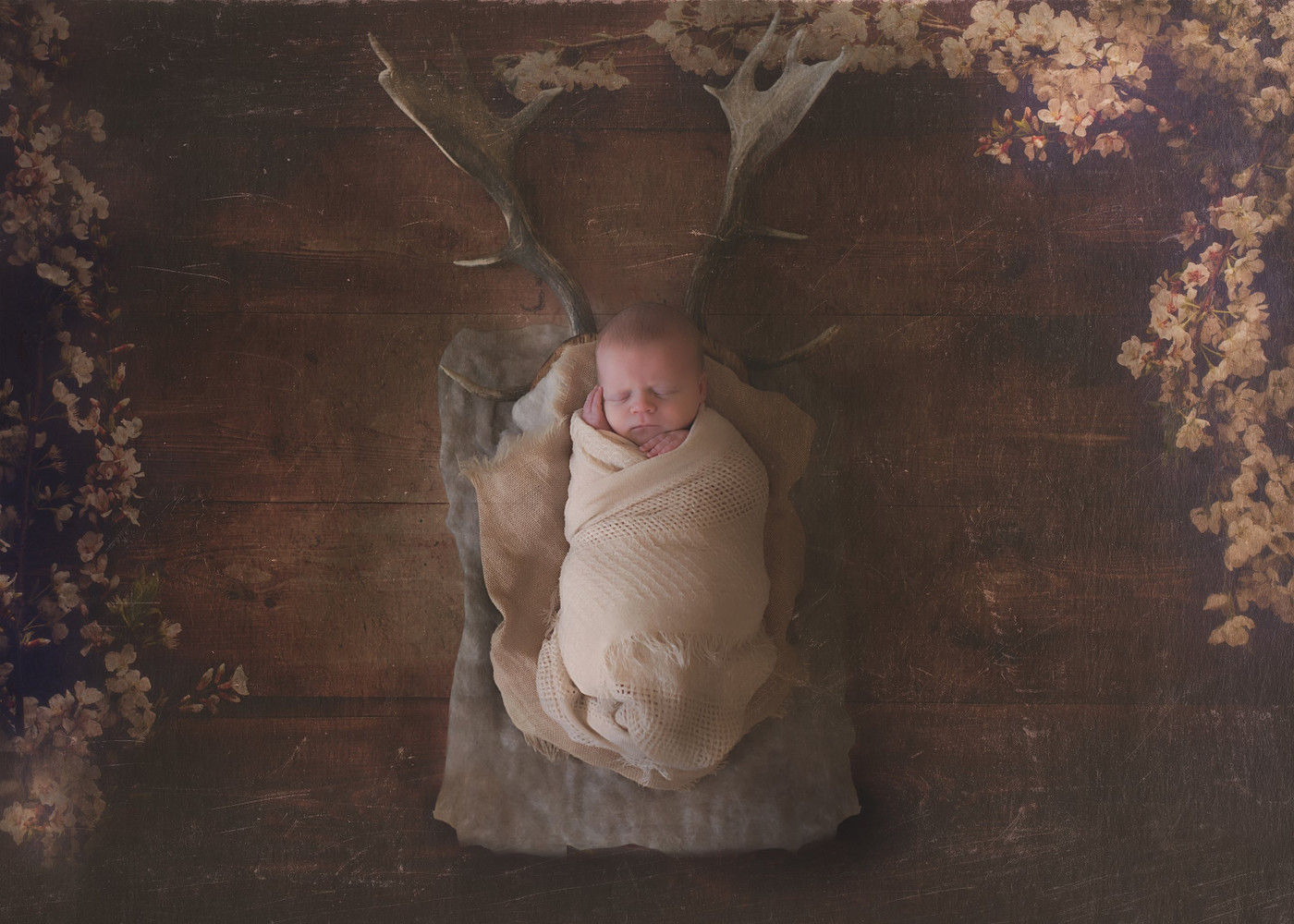 Collection 3 photo by Meg Holmes