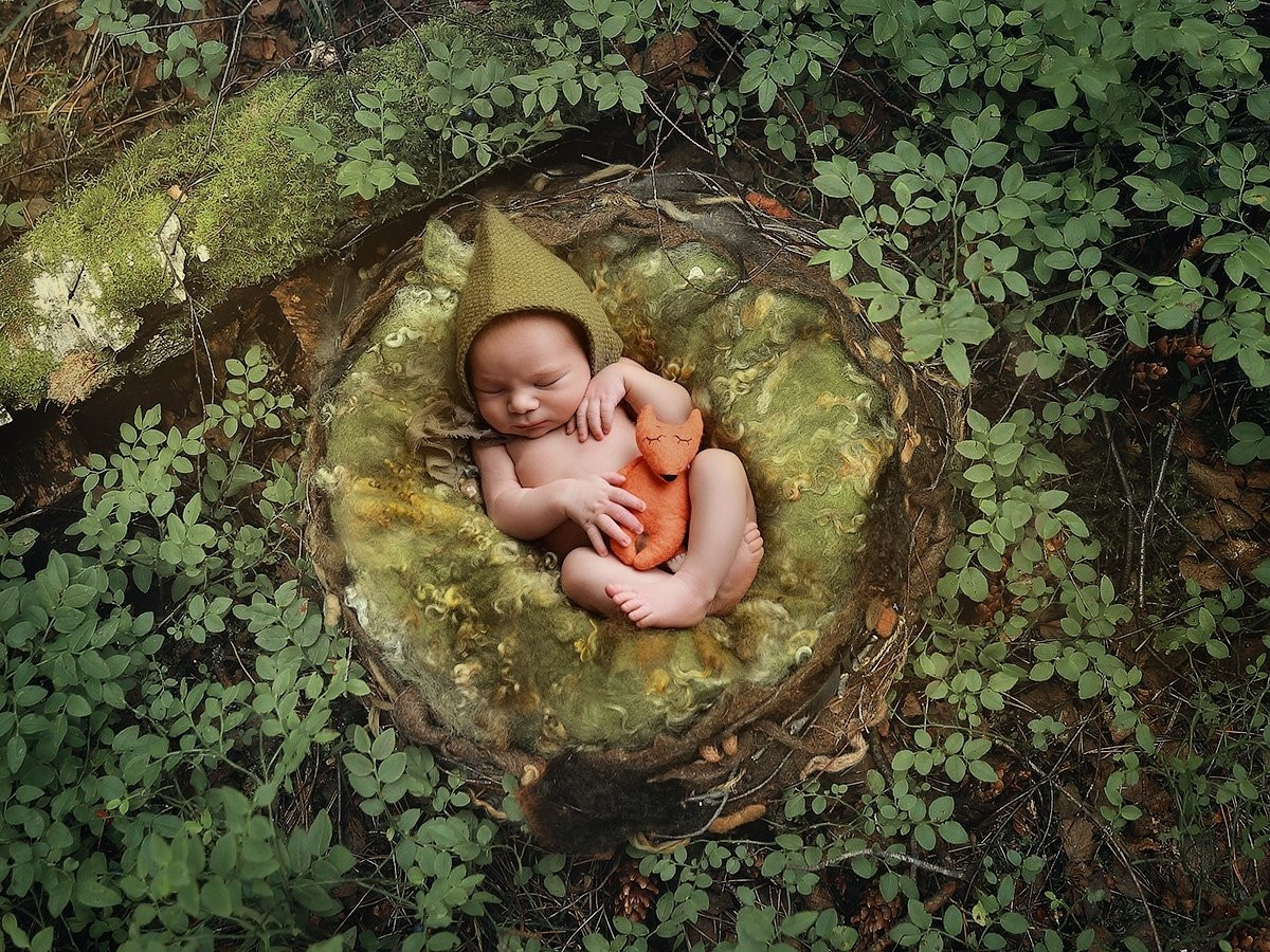 Collection 5 photo by Aleksey Detkov