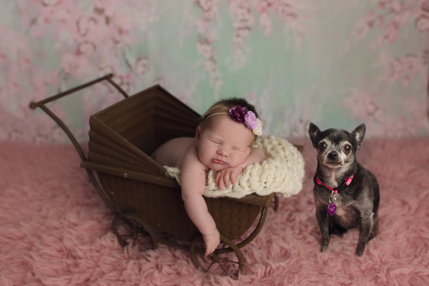 Collection 13 photo by Martha Sobanko