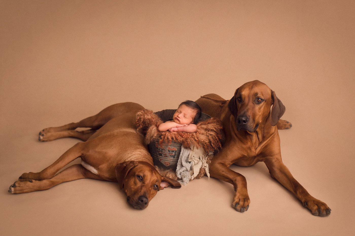 Collection 16 photo by Jafar Edrisi