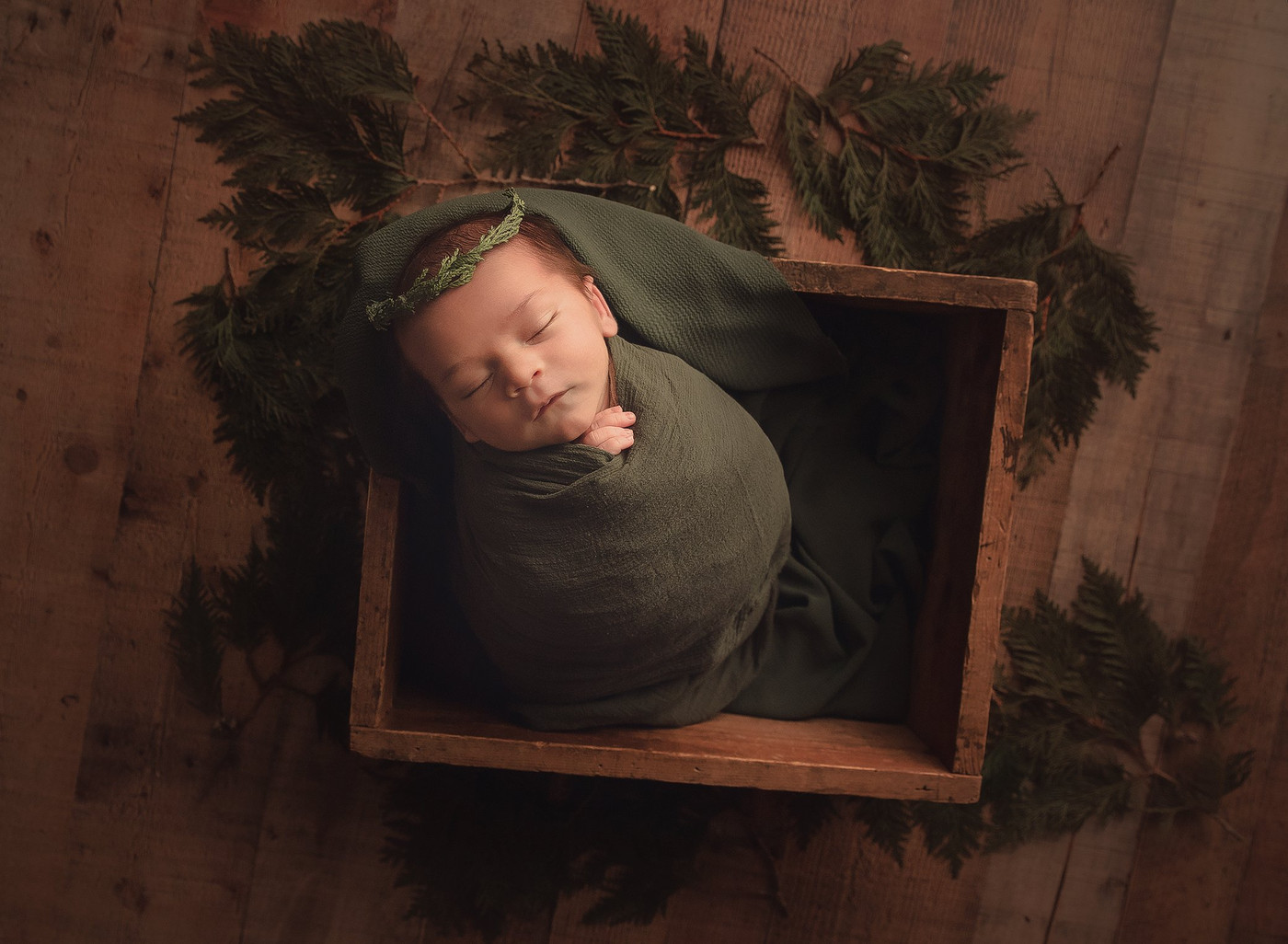 Collection 34 photo by Melissa Prout
