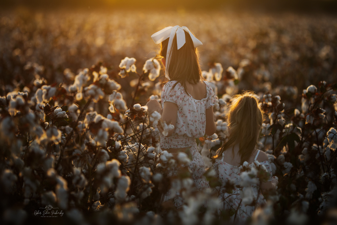 Collection 42 photo by Osher Eden Pashinsky