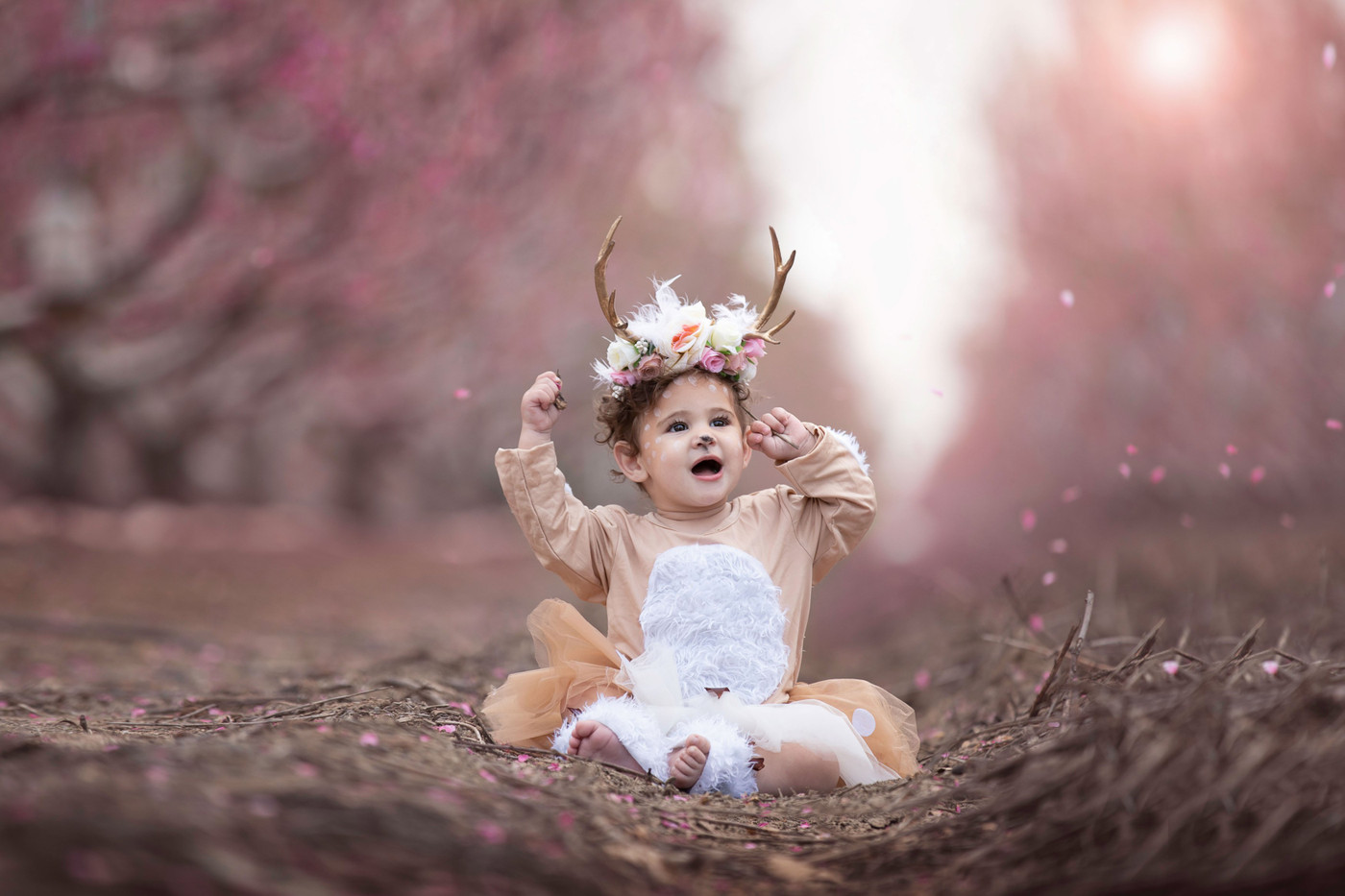 Collection 48 photo by Reut Avivi
