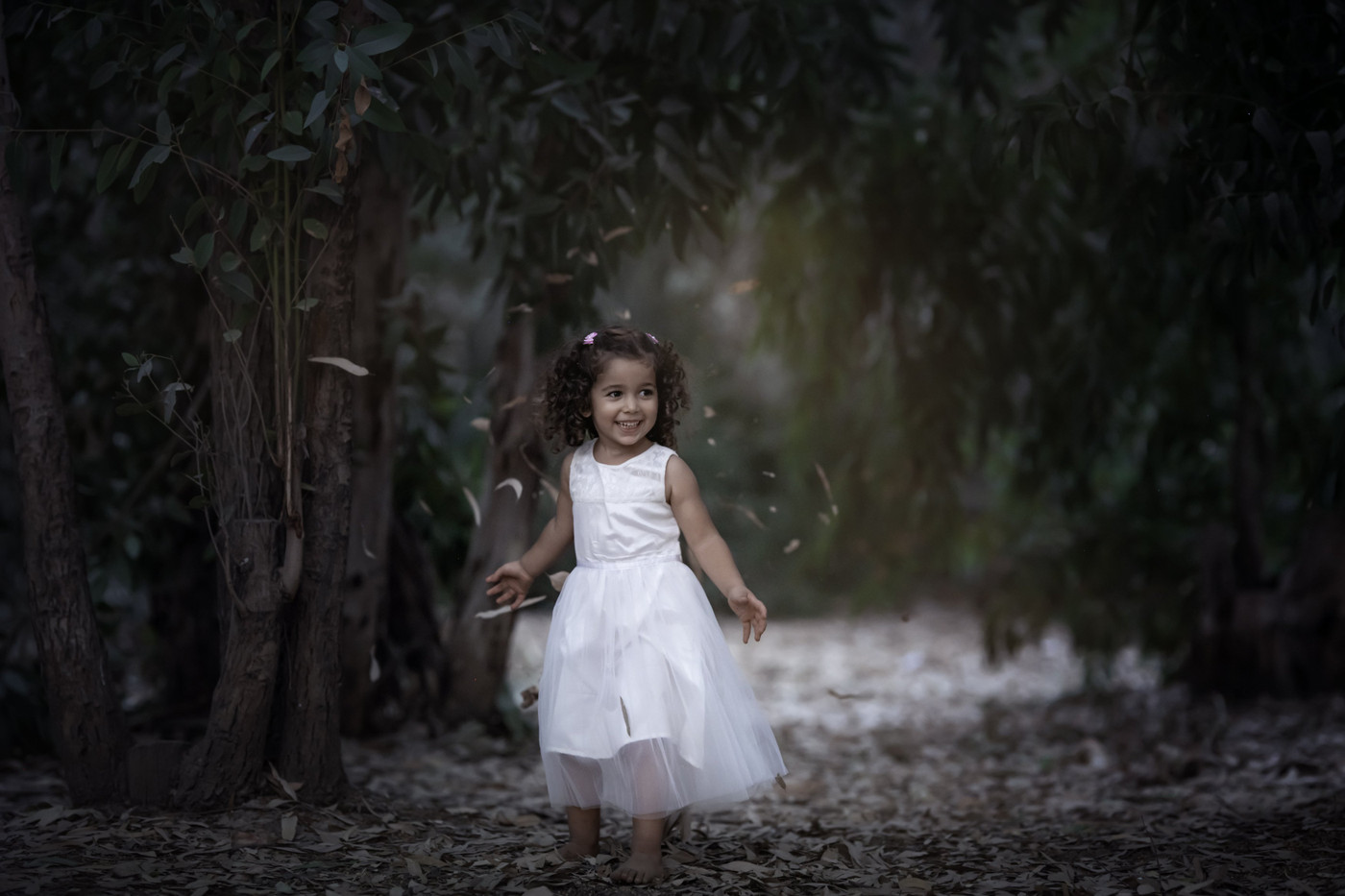 Collection 53 photo by Vered Avidan