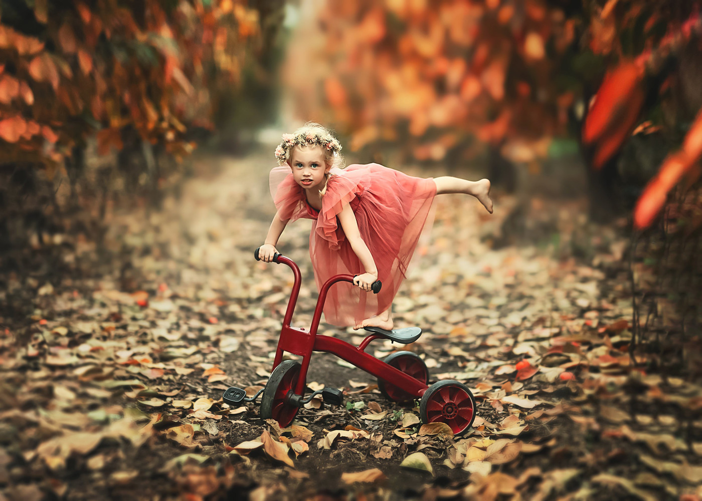 Collection 69 photo by Reut Avivi