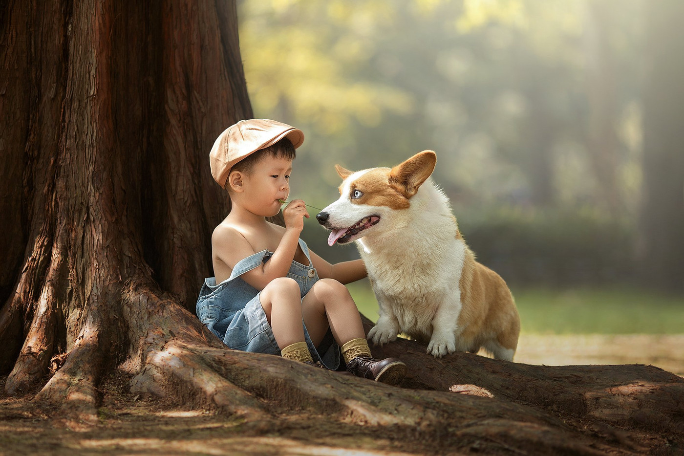 Collection 70 photo by Chunyu Zhang