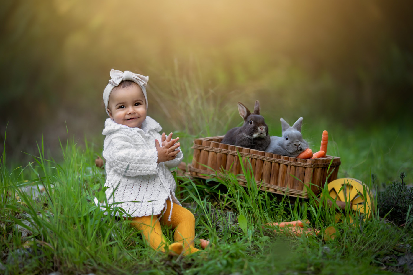 Collection 72 photo by Osher Eden Pashinsky
