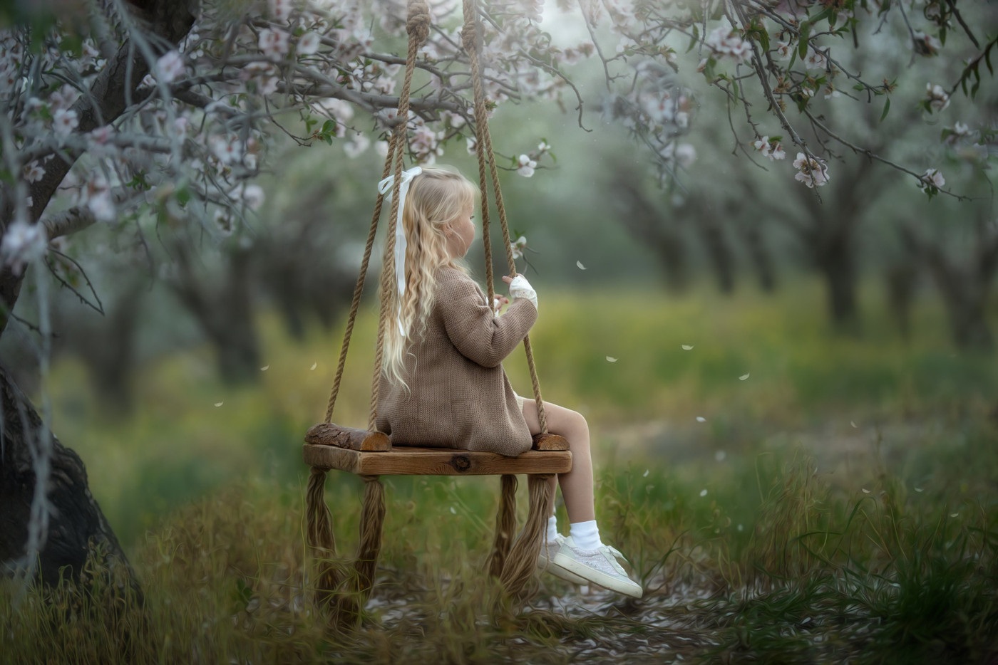 Collection 72 photo by Osher Eden Pashinsky