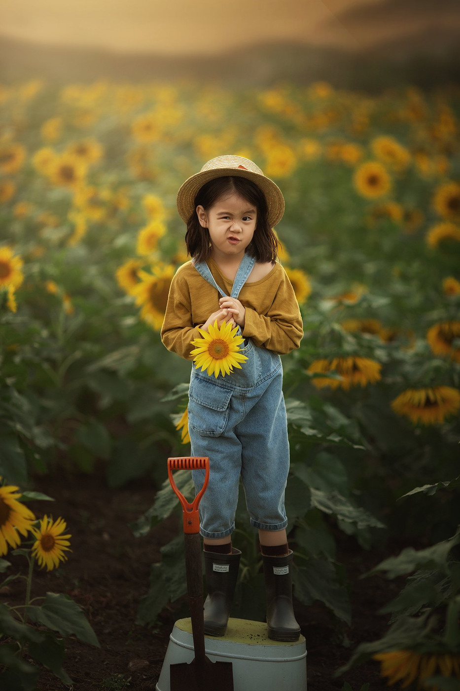 Collection 72 photo by Chunyu Zhang
