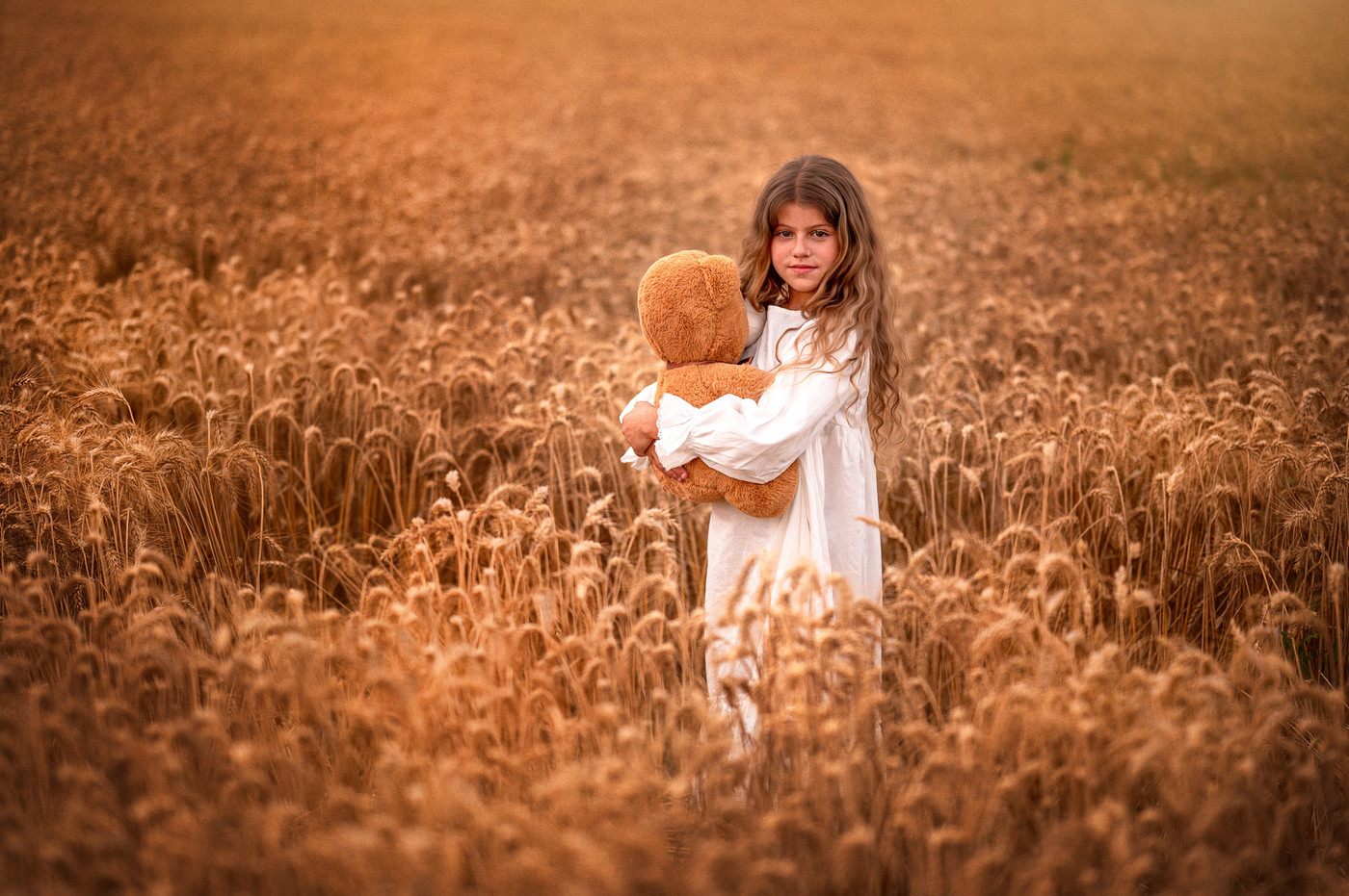 Collection 93 photo by Noam Shneor