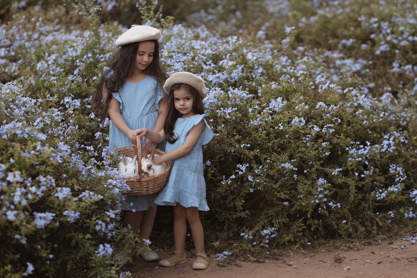 Collection 104 photo by Oksana Gimelfarb