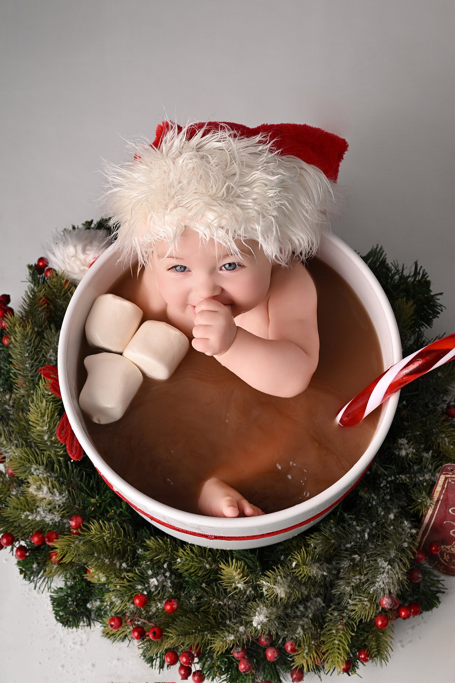 Collection 115 photo by Debbie Lauryssens