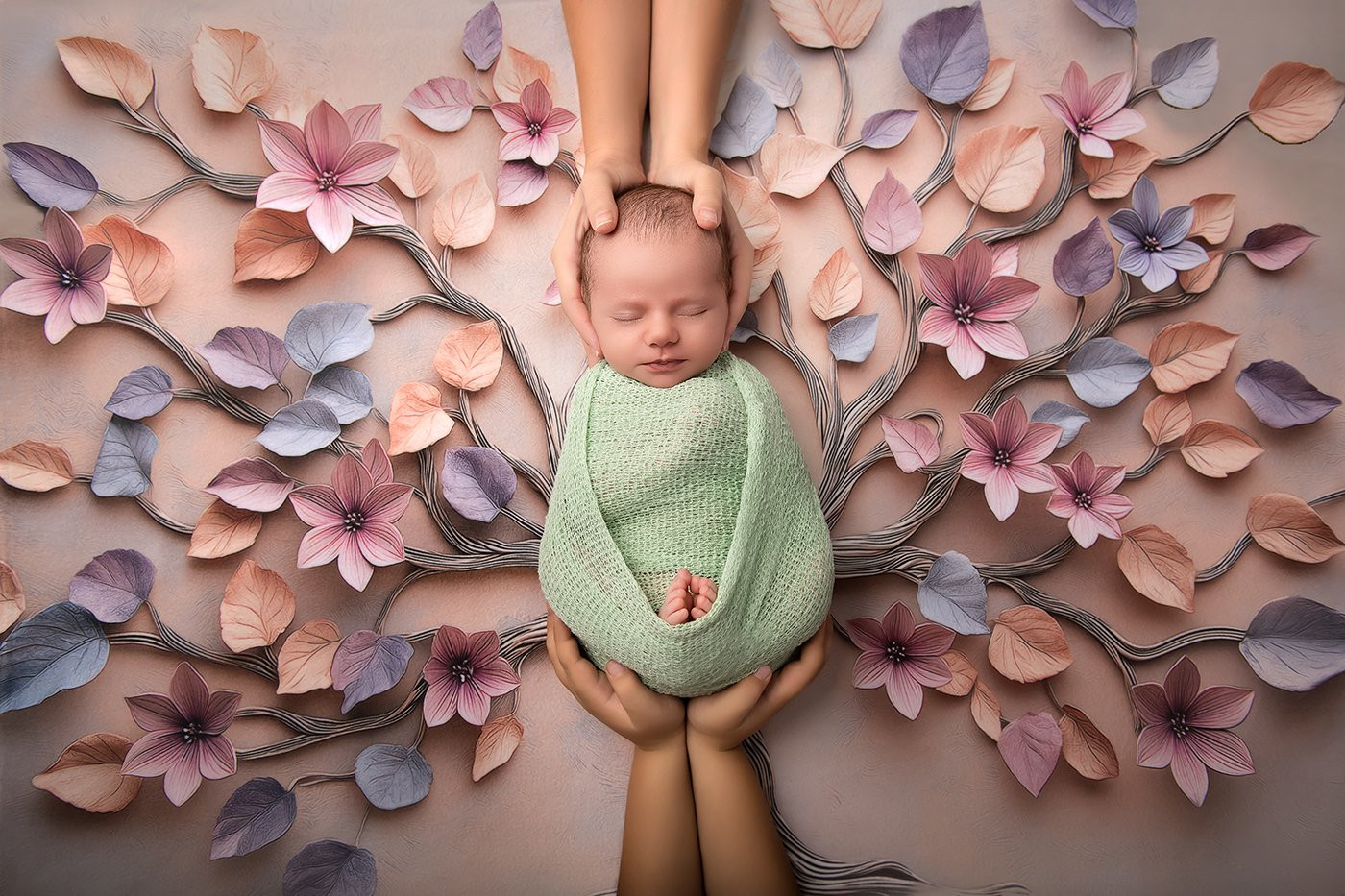 Collection 116 photo by Katerina Poultouhidou