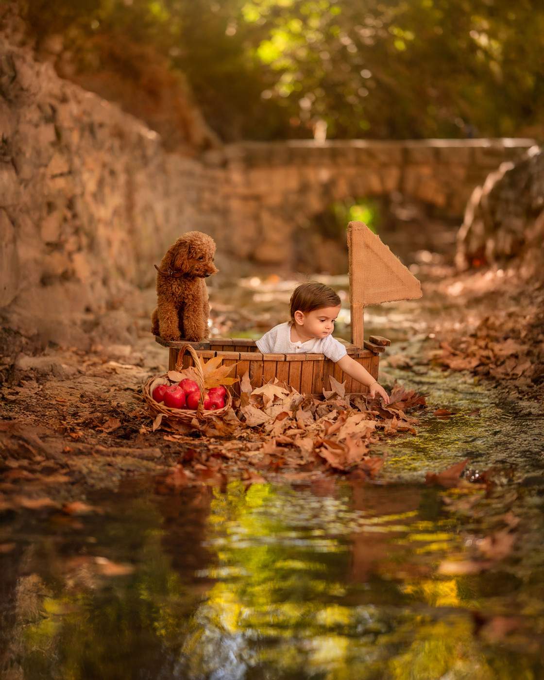 Collection 118 photo by Noam Shneor