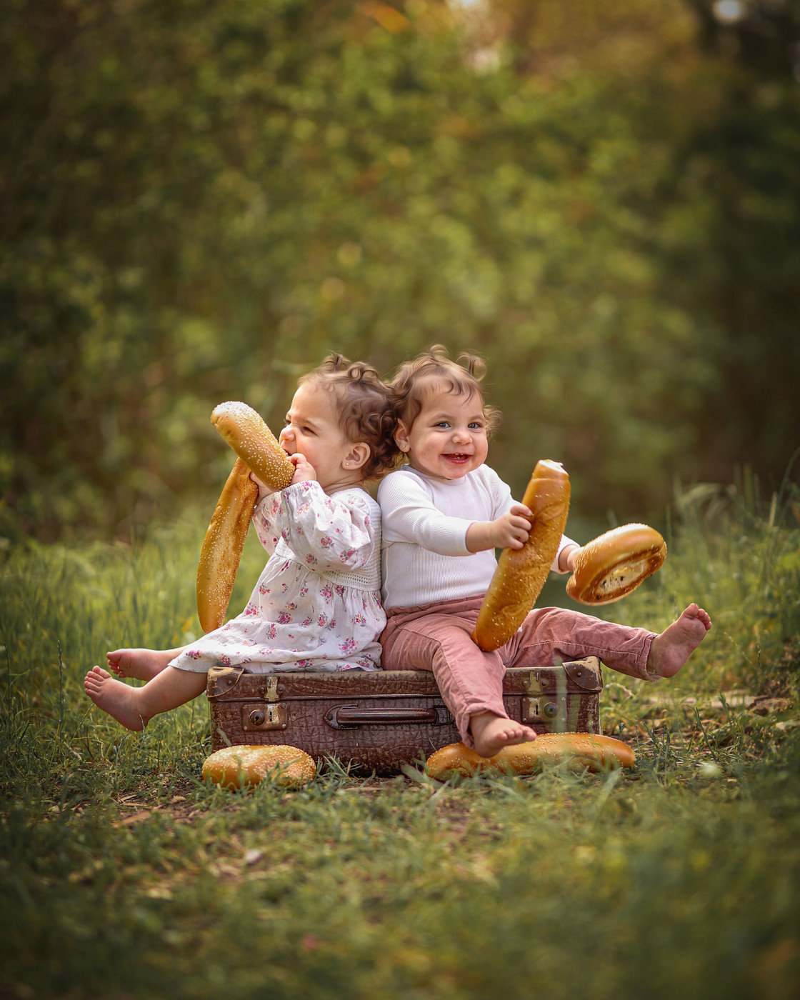 Collection 120 photo by Dorin Abutbul
