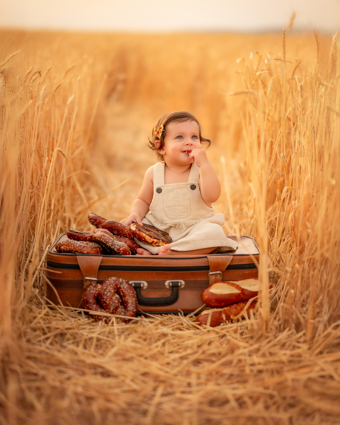 Collection 120 photo by Noam Shneor