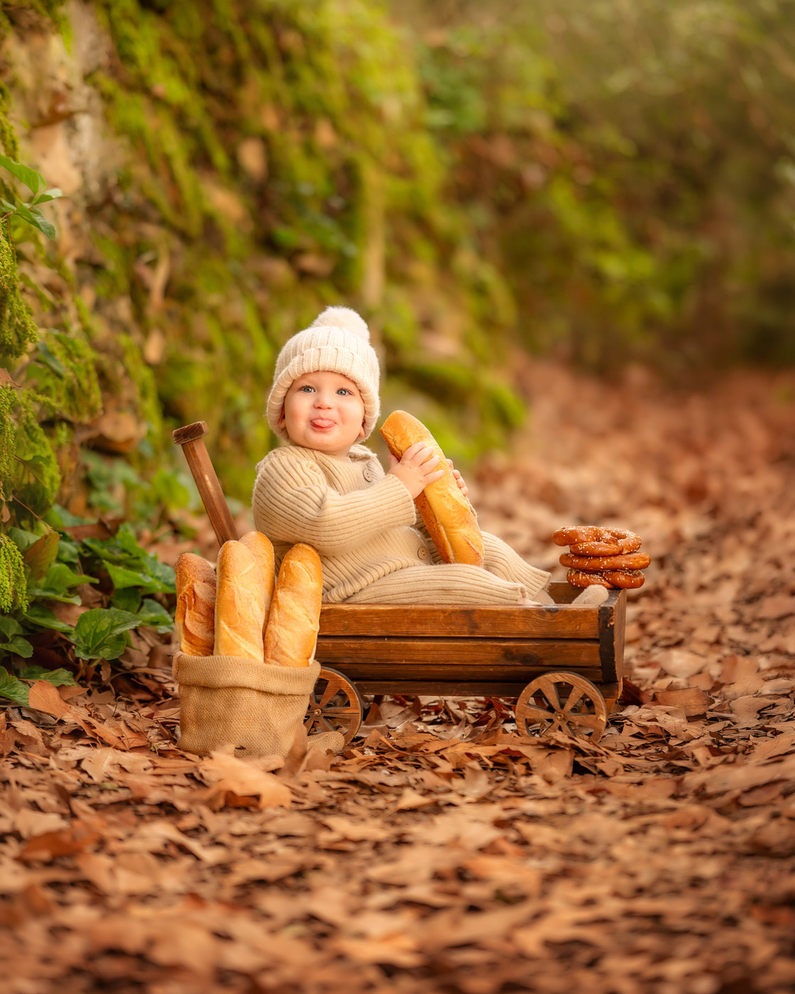 Collection 120 photo by Noam Shneor