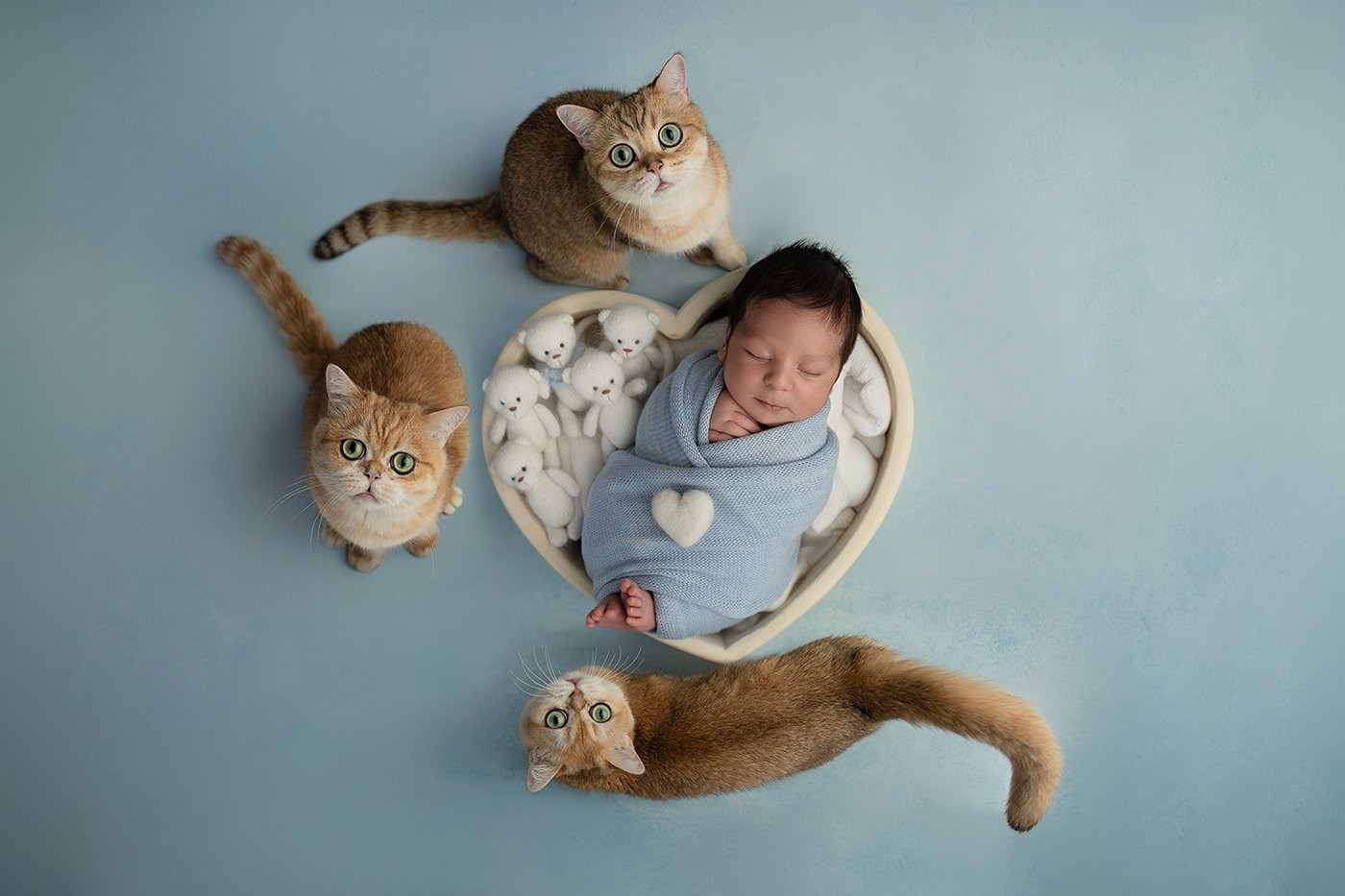 Collection 122 photo by Yevheniia Ruchka