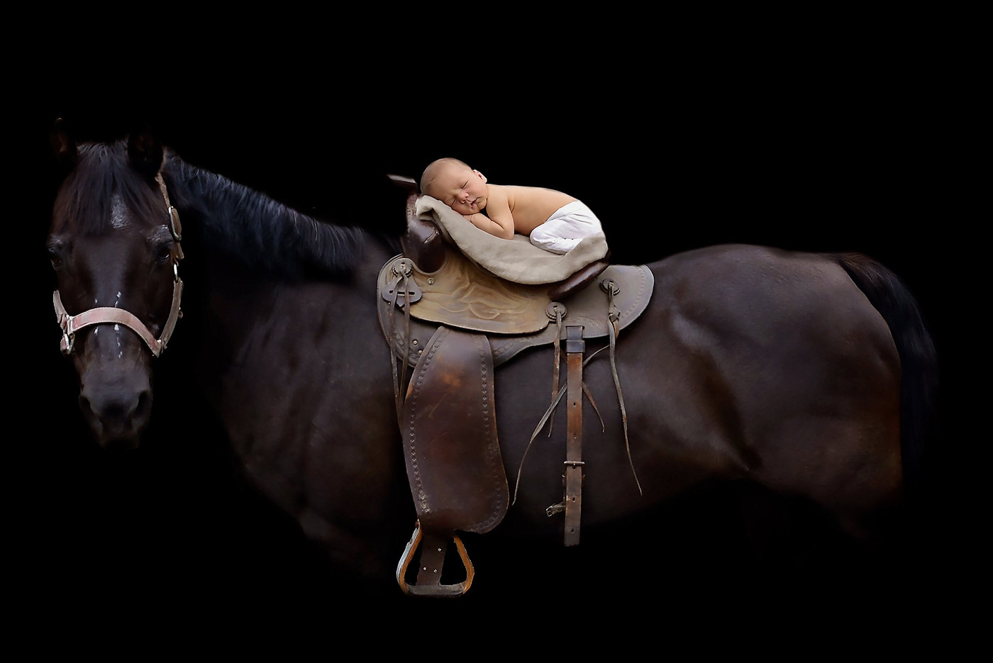 Collection 122 photo by Emily Wyrick