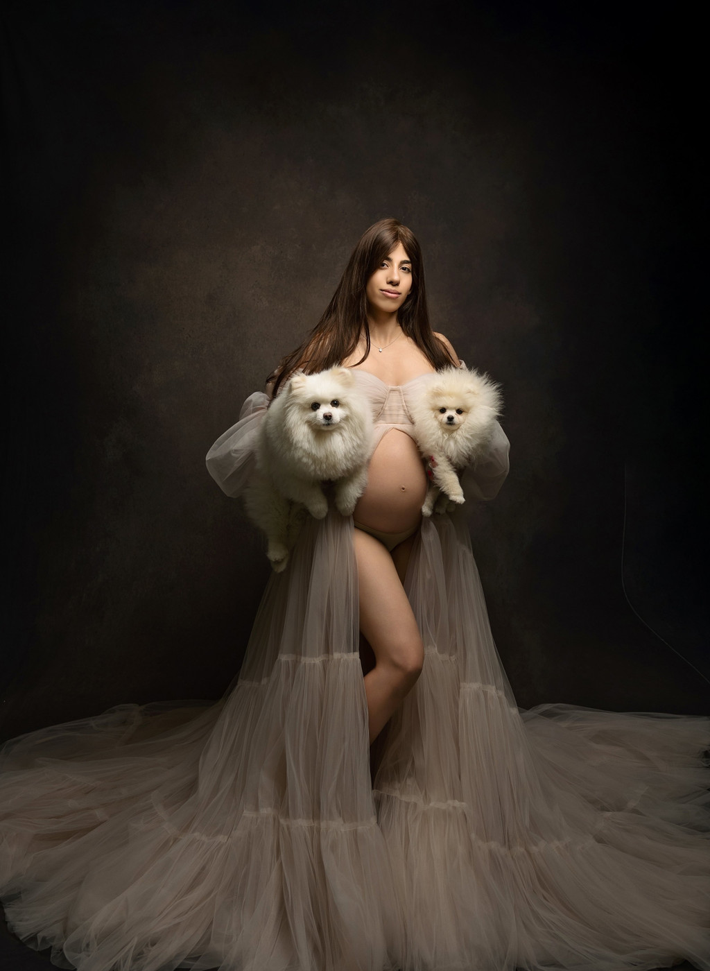 Collection 123 photo by Judith Gamliel