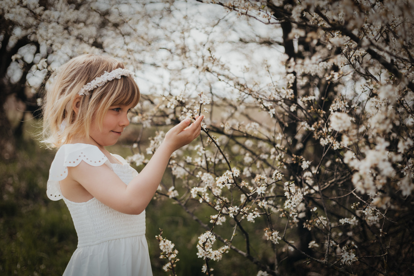 Collection 123 photo by Alina Nygrin