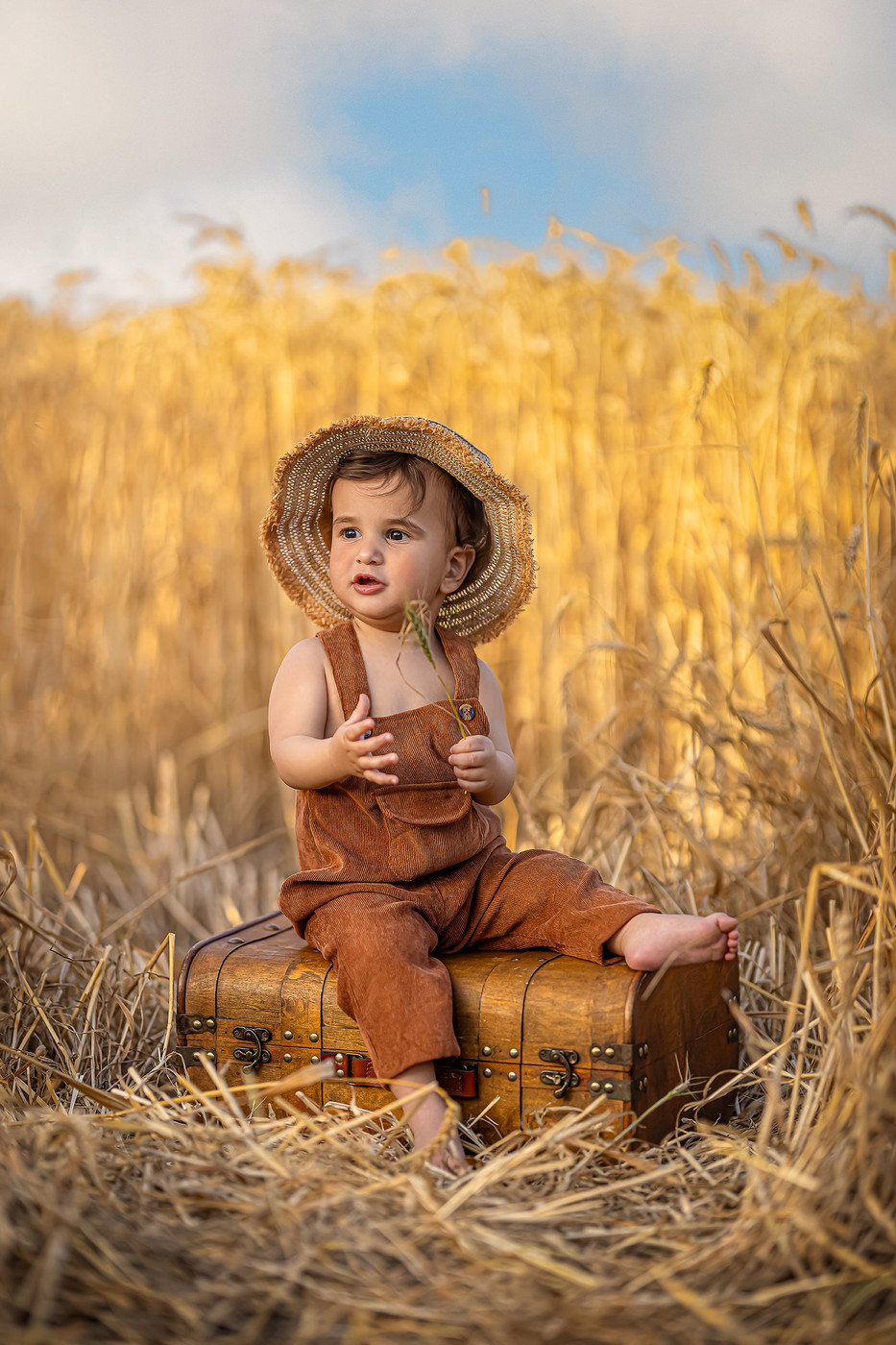 Collection 123 photo by Lital Tzach Yona