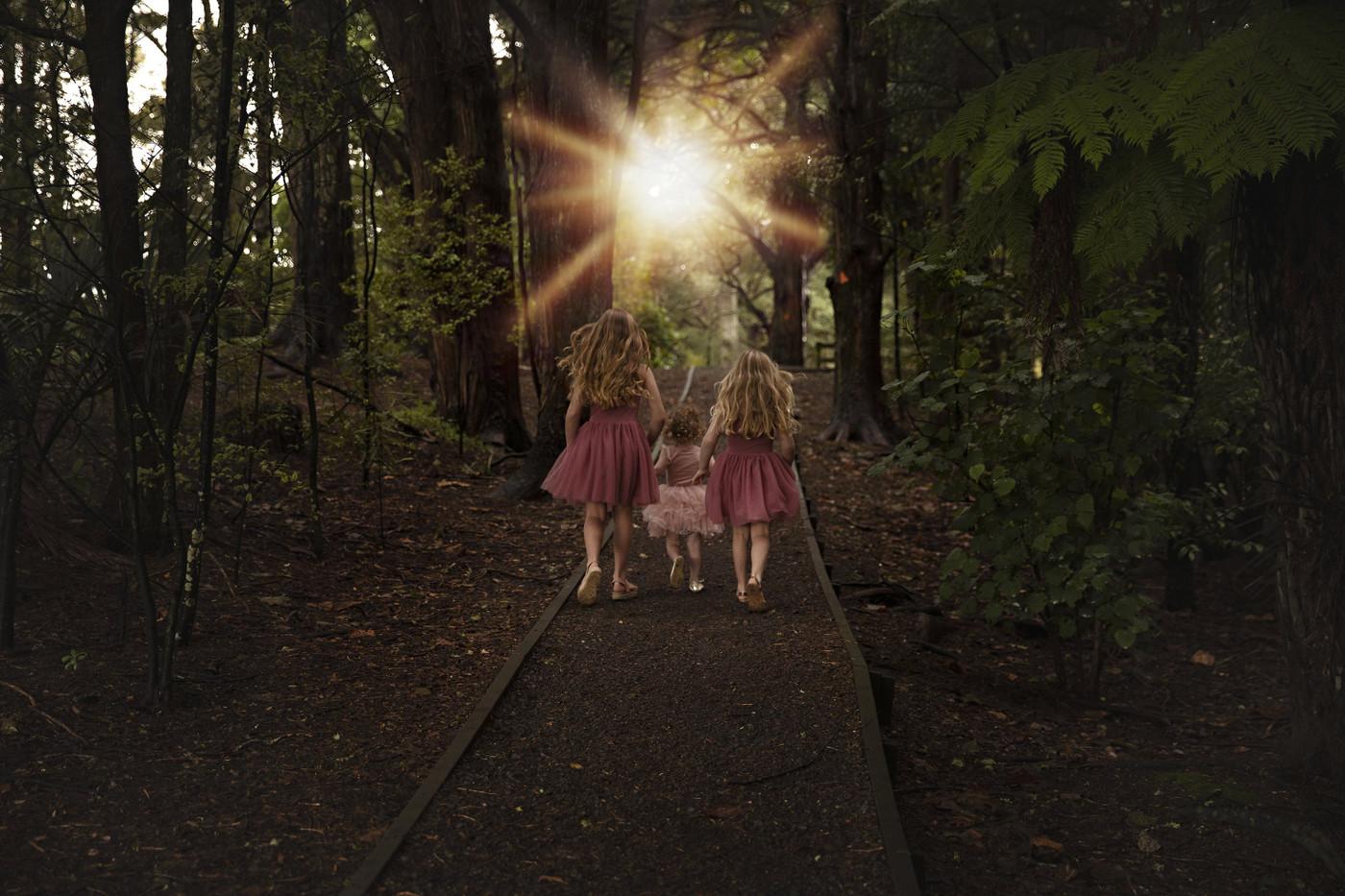 Collection 84 photo by Tarsha Mehrtens